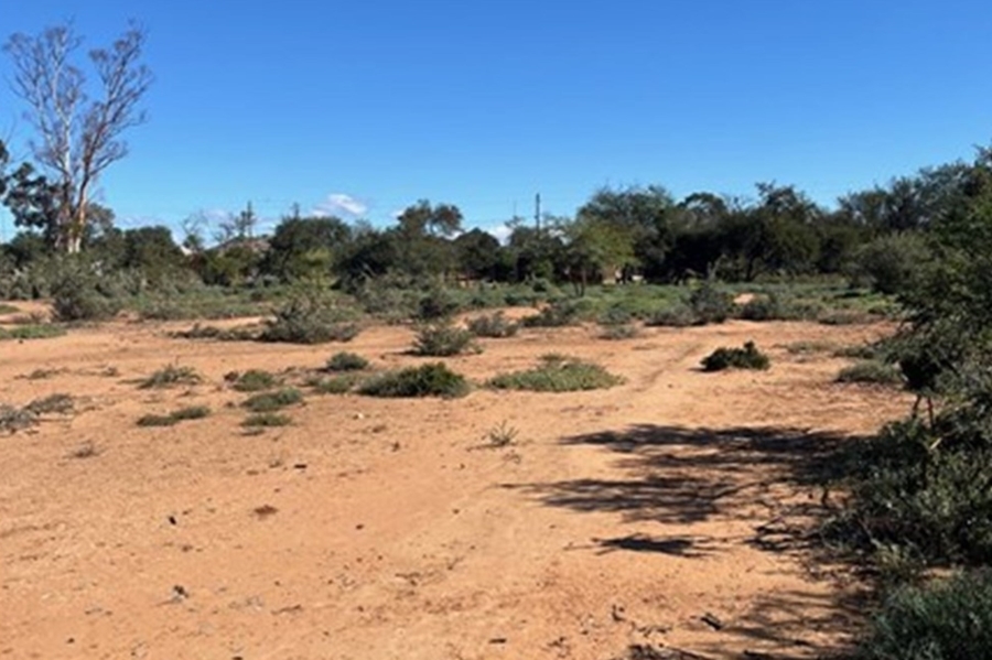 0 Bedroom Property for Sale in Steytlerville Eastern Cape
